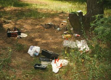 Poor maintenance and conditions
such as litter, graffiti and vandalism send cues to would-be offenders that the
park is uncared for or that no one is in charge.